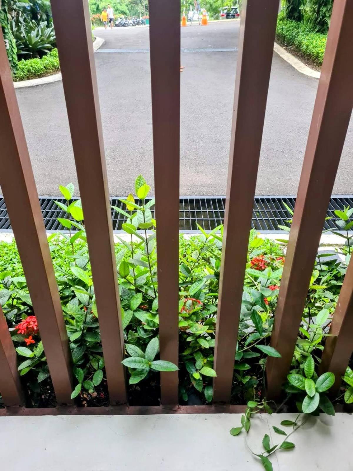 Nyaman, Akses Mudah Apartemen *